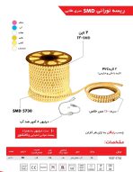 ریسه شلنگی 100 متری دو لاین ویسنا مدل VSST 5730